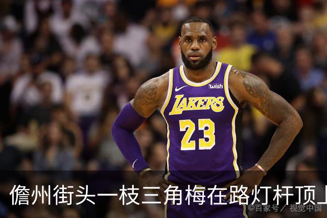 儋州街头一枝三角梅在路灯杆顶上开花，被赞“全网最努力”，园林管理局：其生长状况良好