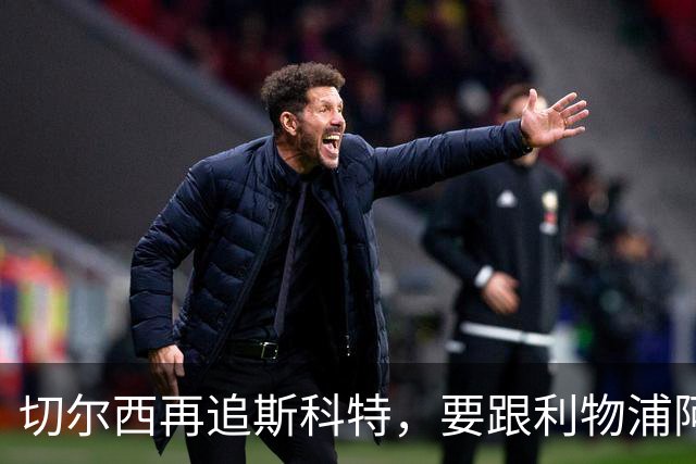 切尔西再追斯科特，要跟利物浦阿森纳热刺抢人