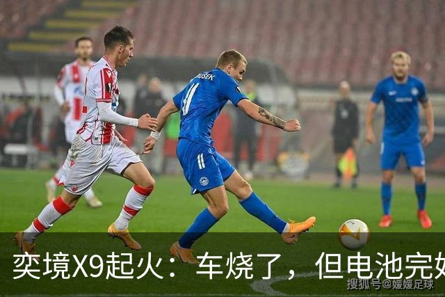 奕境X9起火：车烧了，但电池完好，这事就值得掰扯了