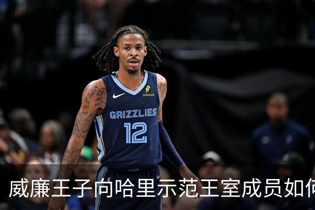 威廉王子向哈里示范王室成员如何真正接受电视采访，差距一目了然