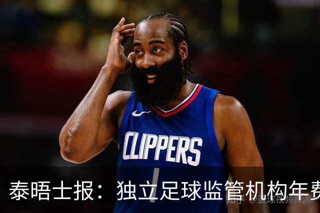 泰晤士报：独立足球监管机构年费2000万镑，英超出大头