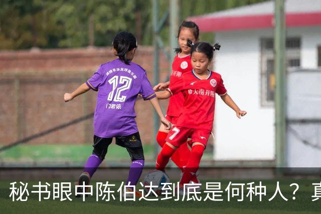 秘书眼中陈伯达到底是何种人？真实形象究竟如何揭秘！
