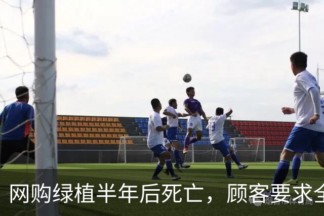 网购绿植半年后死亡，顾客要求全额退款，商家拒绝后被投诉到闭店并被告上法庭
