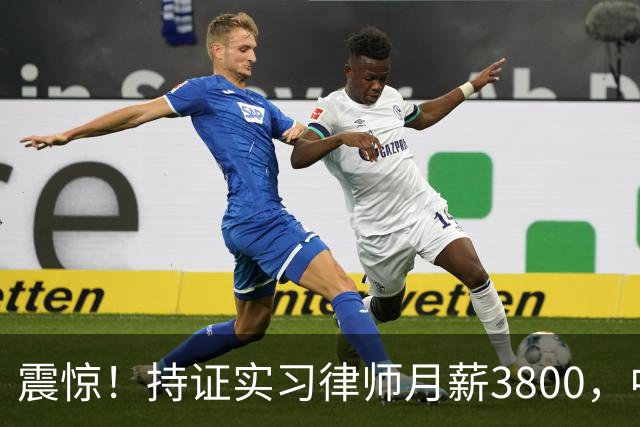 震惊！持证实习律师月薪3800，中南财大校招岗位待遇引争议，网友：有工资就不错了，大多数是缴费实习
