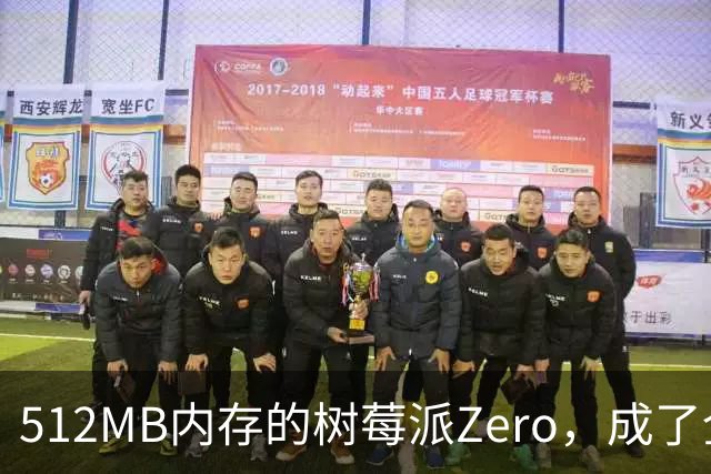 512MB内存的树莓派Zero，成了全家网络的DNS中枢