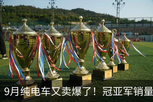 9月纯电车又卖爆了！冠亚军销量超4万，零跑A10未进前三，小米SU7排名第七